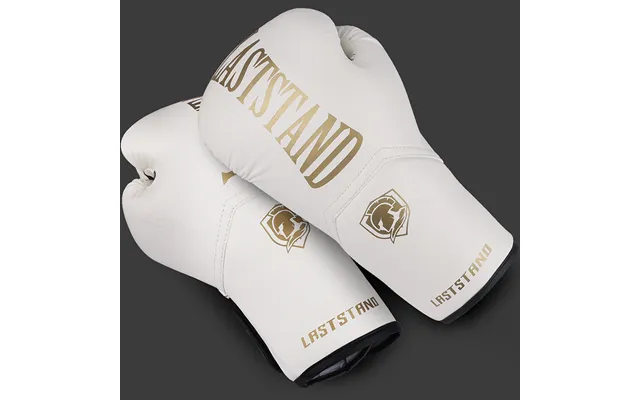 Muay Thai For Adults Men And Women Sanda Training Fighting Professional Punching Bag Children's Boxing Gloves