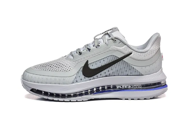 Nike Pegasus Premium Herrenschuhe - Outdoor-sportschuhe