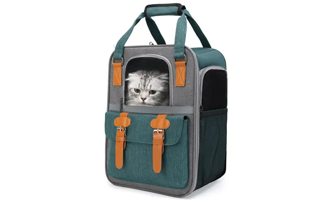 Pet Bags Wholesale Outing Double Shoulder Cat Backpack Wear Resistant Grab Handle Cat And Dog Bag