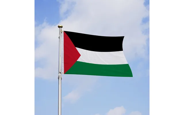 Sportlife Palestine Flag Fade Resistant Fine Workmanship Simple Installation Canvas Header Palestinian National Flags
