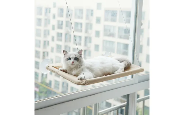 Strong Window Mounted Cat Sunny Seat Nt Scratch Tree Hammock Bed For Cats Suppli Kitten Climbing Frame Pet