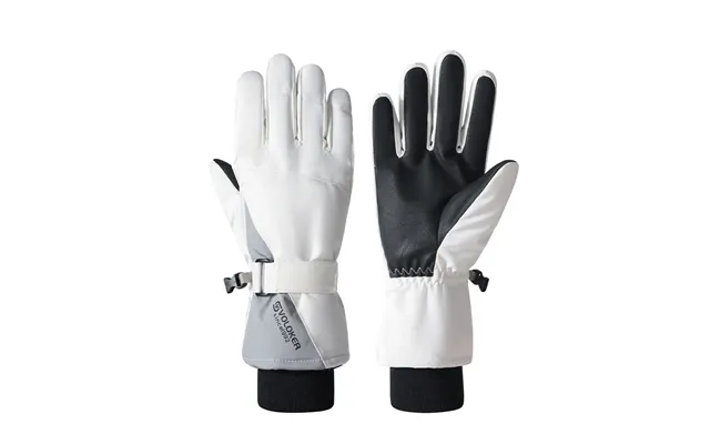 Unisex Gloves Ski Gloves Thermal Gloves Men's Autumn And Winter Gloves Cycling Gloves Cross-border Touch Screen Gloves