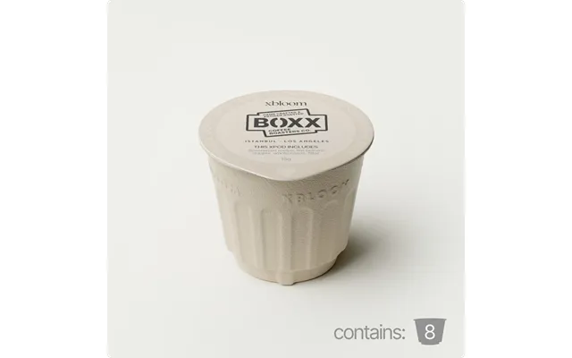 Ethiopia Nano Challa - 8 Xpods In Stock