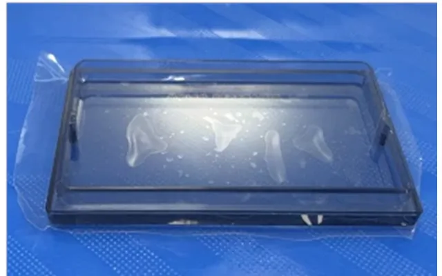 Int - Tank Cover