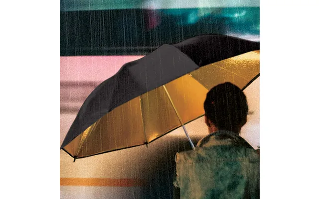 Black & Gold Umbrella
