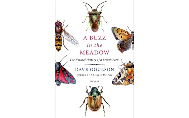 Buzz In The Meadow - Dave Goulson
