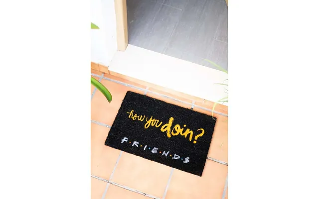 Doormat Friends How You Doin'