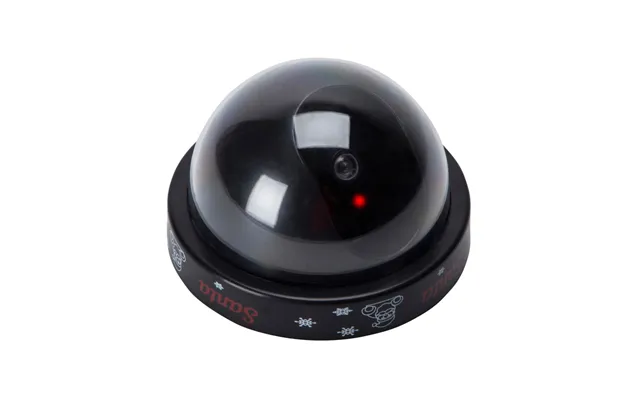 Dummy Santa Camera