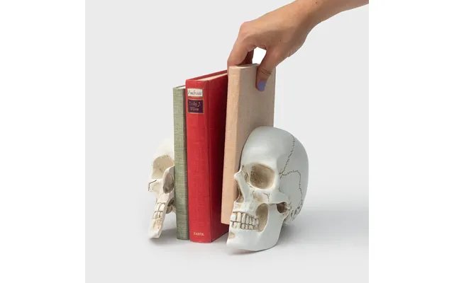 Skull Bookends