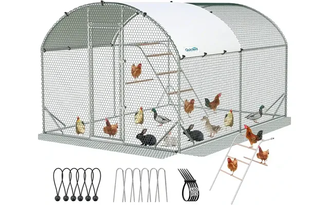 Arched Chicken Coop Run - 12x9ft With Ladder Swing