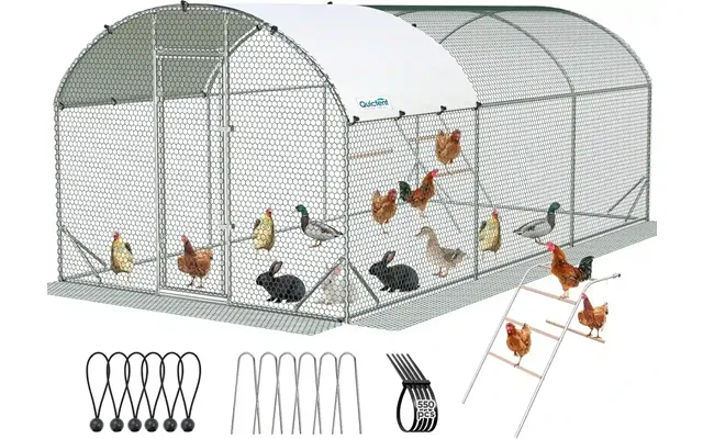 Arched Chicken Coop Run - 18x9ft With Ladder Swing