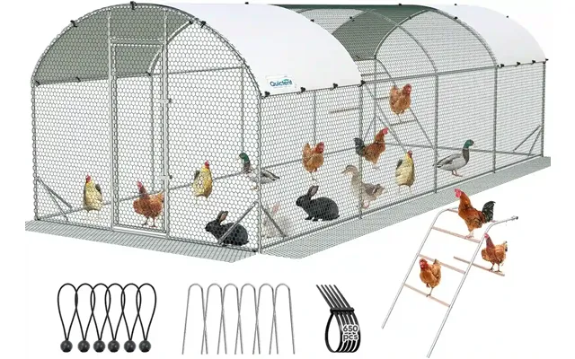 Arched Chicken Coop Run - 24x9ft With Ladder Swing