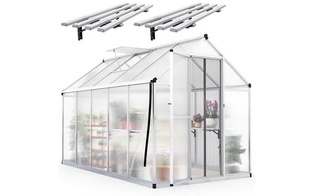 Walk-in Polycarbonate Greenhouse - 6x10x6ft-w Shelf