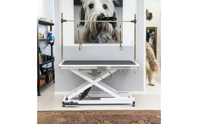 Pefilos 50 Heavy Duty Electric Lifting Pet Grooming Tables For Large Dogs 110v 220v Professional Hydraulic Trimming Tabl product image