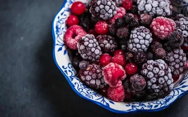 Best Frozen Goods